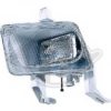 DIEDERICHS 1824089 Fog Light